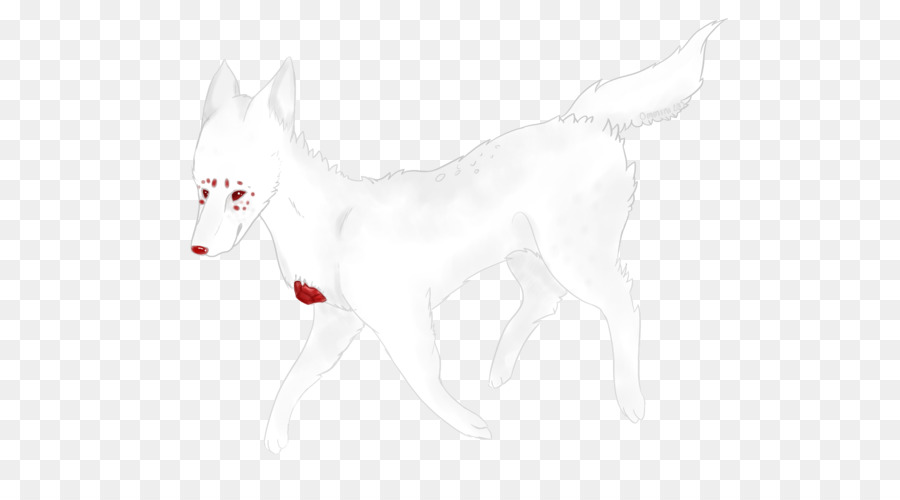 Kishu，Berger Blanc PNG