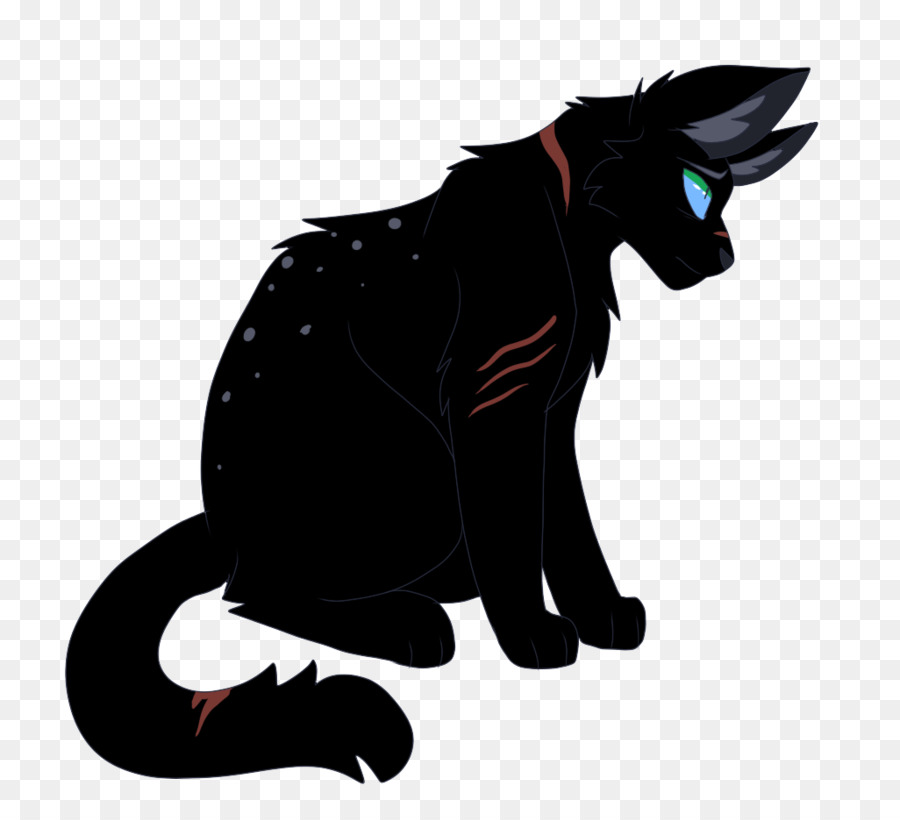 Chat Noir，Animal PNG