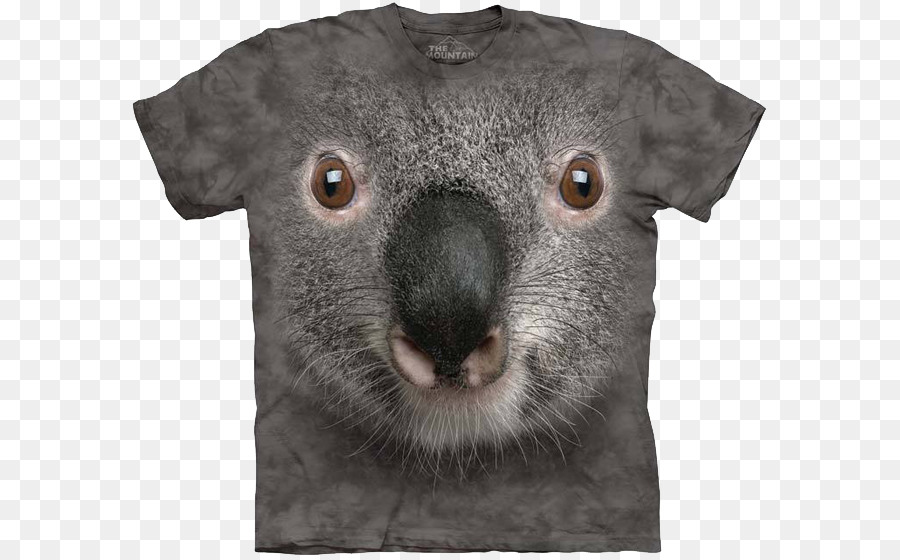 Tshirt，Koala PNG