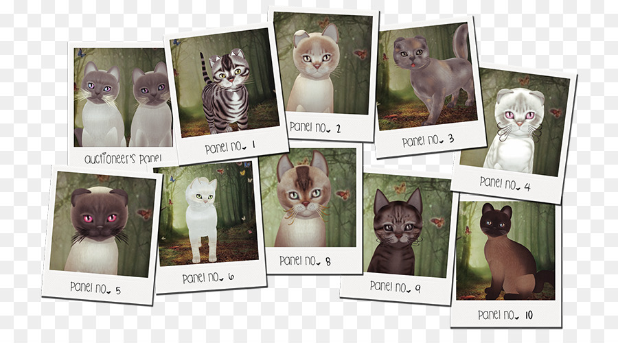 Illustrations De Chats Mignons，Chats PNG