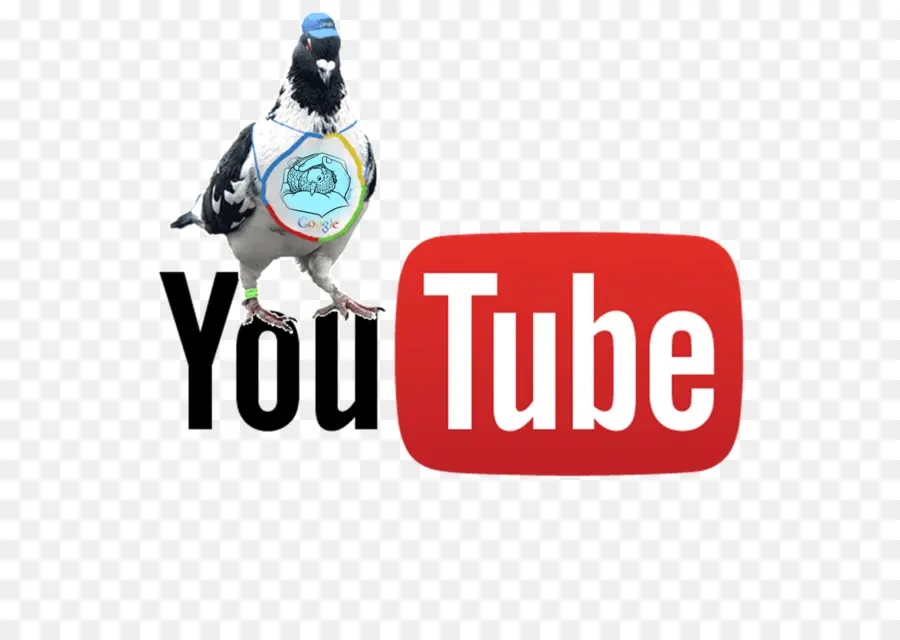 Youtube，Médias En Streaming PNG