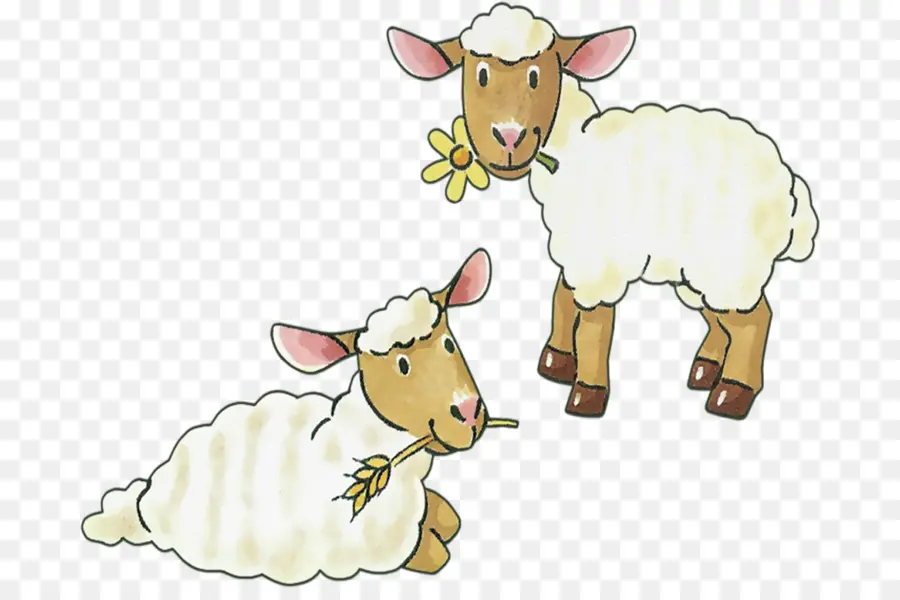 Mouton，Agneau PNG