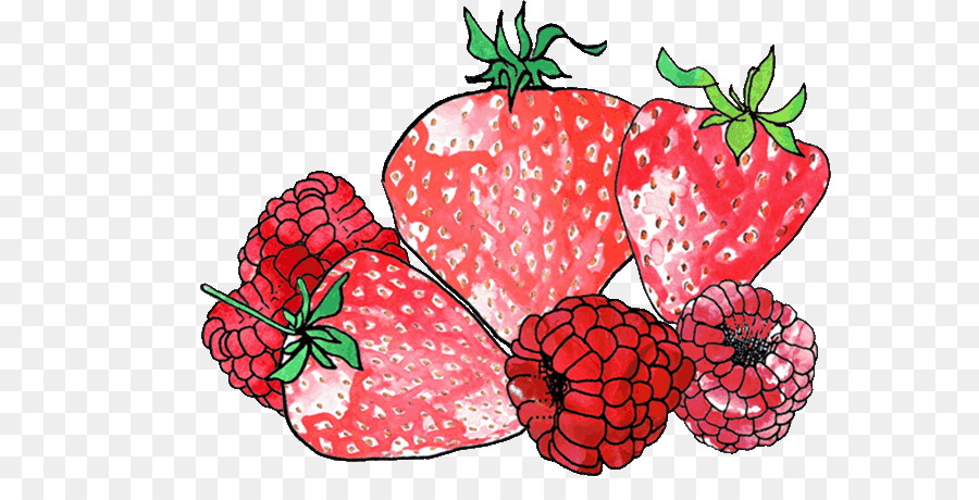 Fraise，Baie PNG