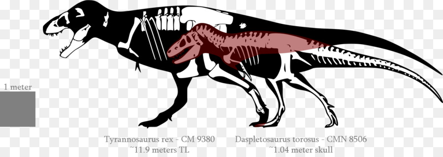 Le Tyrannosaure，Nanotyrannus PNG