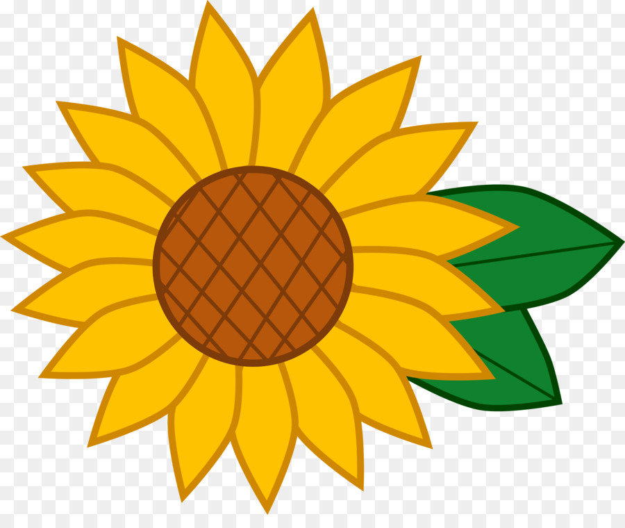 Tournesols，Fleurs PNG