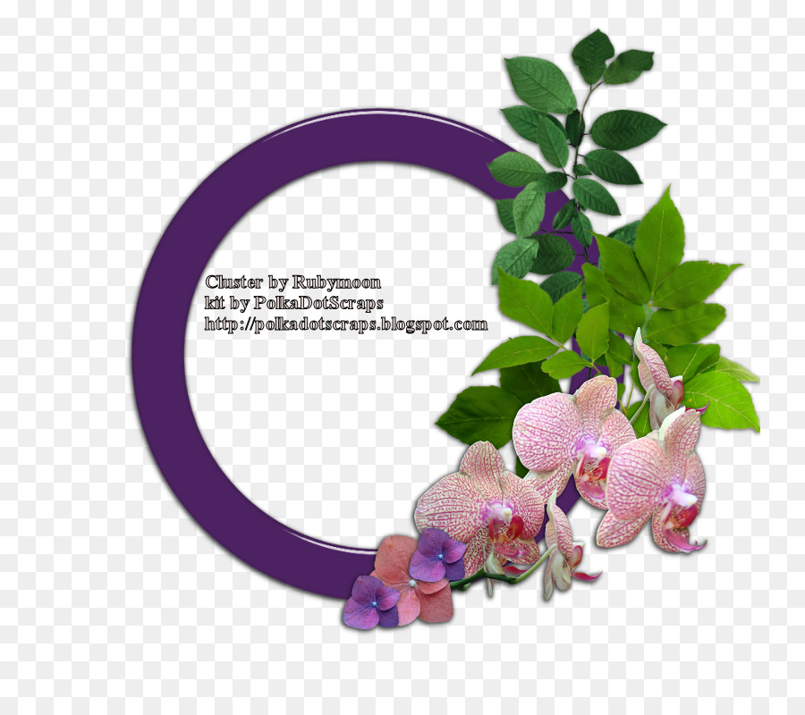 Cadre Floral，Fleurs PNG