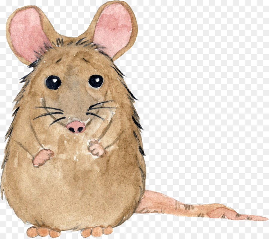 Souris Mignonne，Dessin Animé PNG