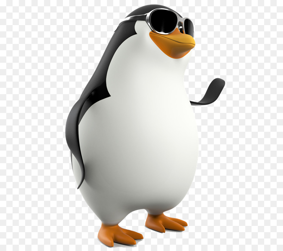 Pingouin Avec Des Jumelles，Jumelles PNG