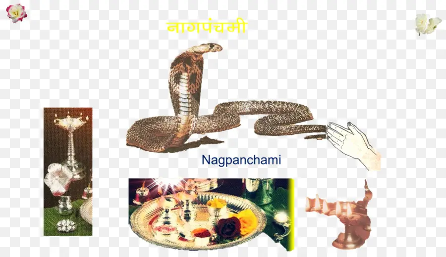 Nagpanchami，Serpent PNG