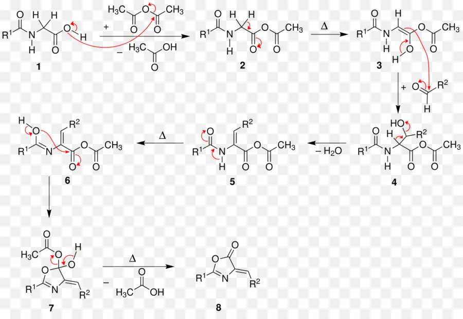 Hippuric Acide，Erlenmeyerplöchl Azlactone à L Et Acides Aminés De Synthèse PNG