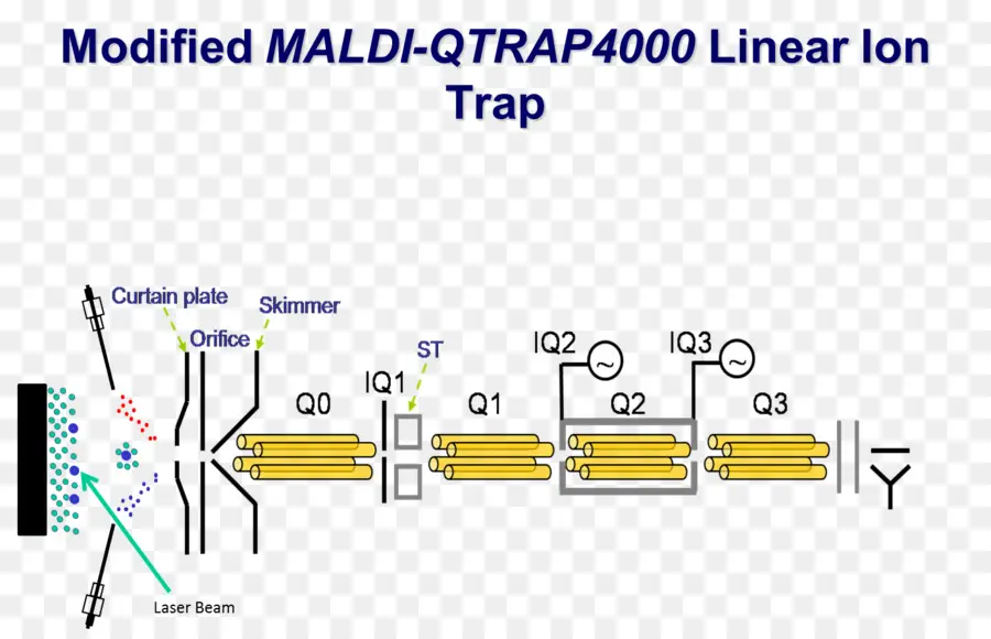 Schéma Maldi Qtrap4000，Piège à Ions PNG