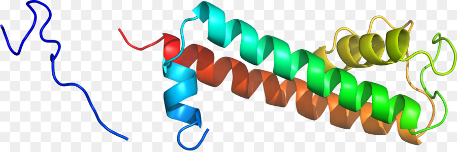 Hélice Protéique，Molécule PNG
