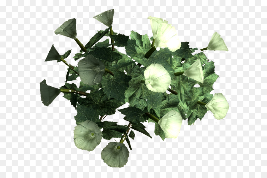 Plante Verte à Fleurs Blanches，Feuilles PNG