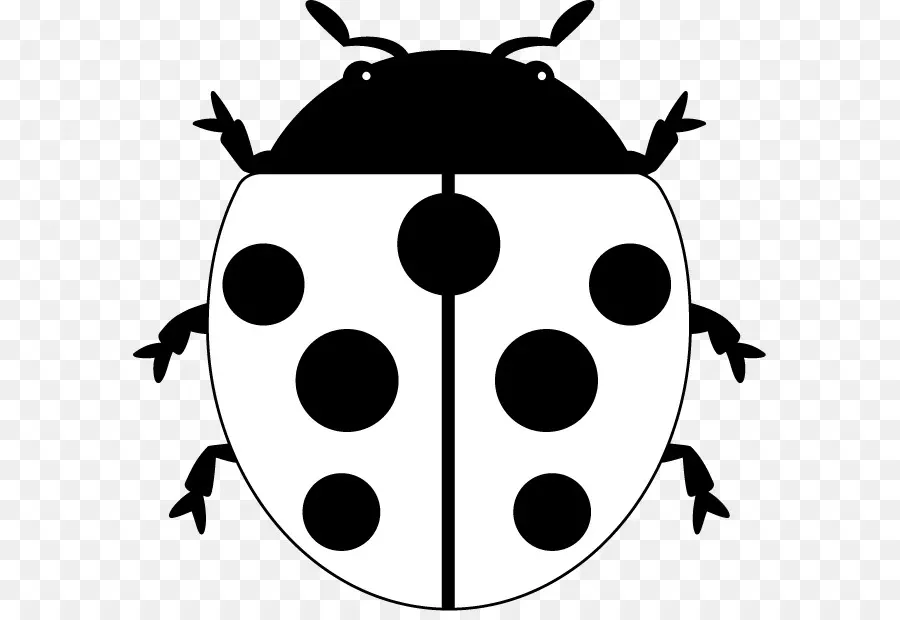 Coccinelle，Rouge PNG