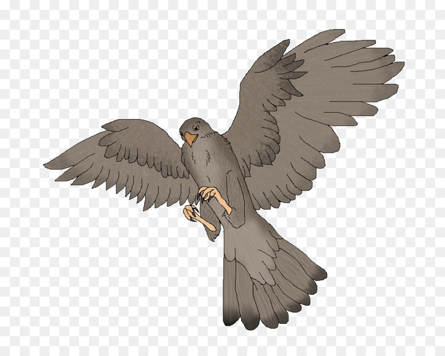 Oiseau De Dessin Animé，Vol PNG