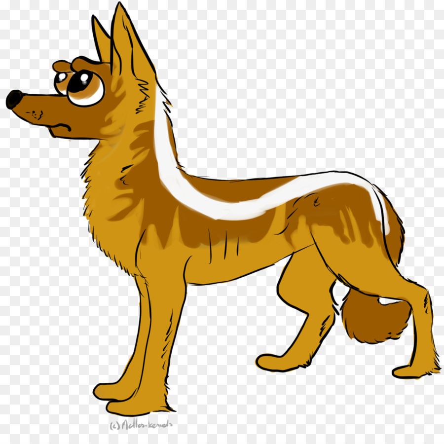 Race De Chien，Renard Rouge PNG