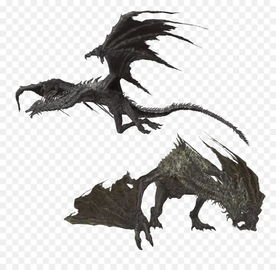 Dragons，Vol PNG