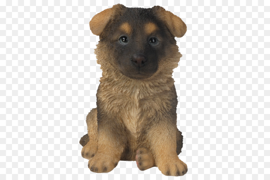 Chiot，Chien PNG