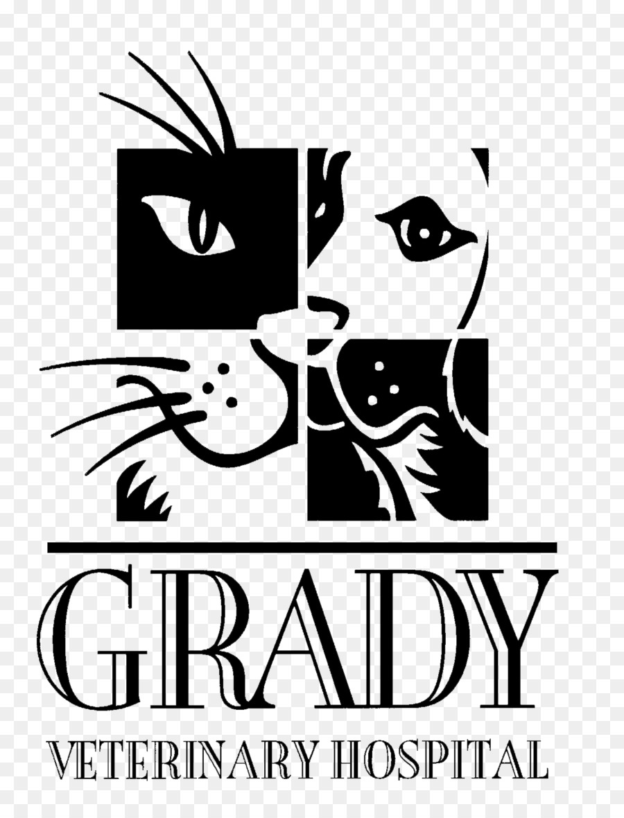 Chat，Grady Hôpital Vétérinaire PNG