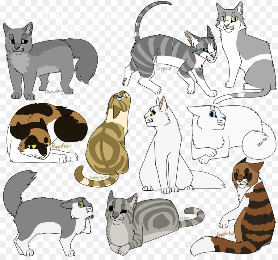 Chaton，Les Moustaches PNG