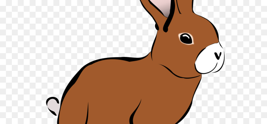 Visage De Lapin，Lapin PNG