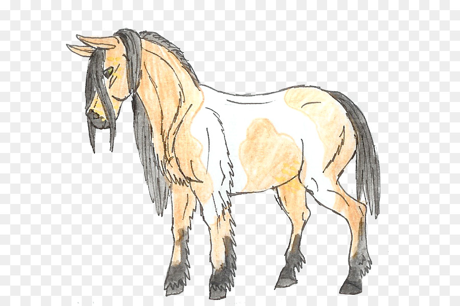 Dessin De Cheval，Animal PNG