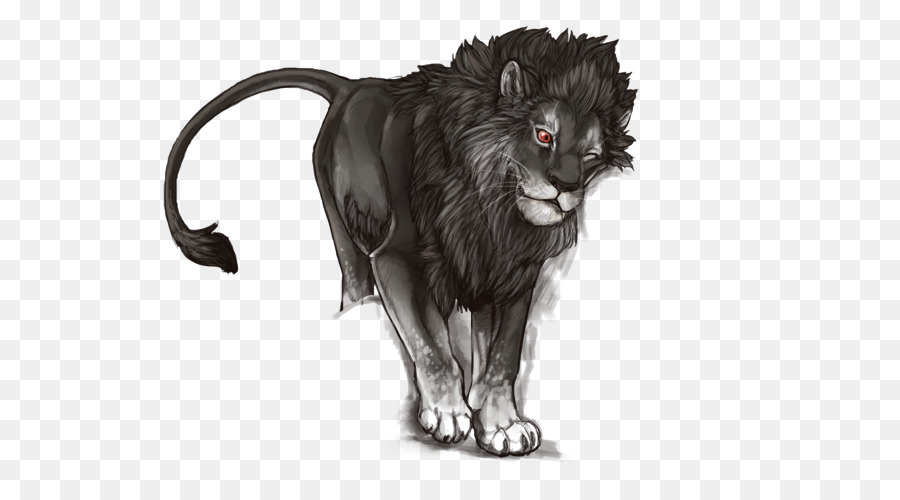 Lion Noir，Noir PNG