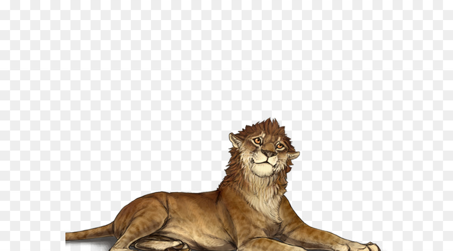 Lion，Esquisser PNG