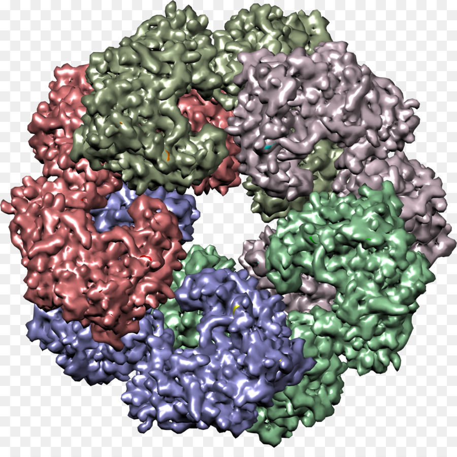 Doublestranded Virus à Arn，Virus PNG