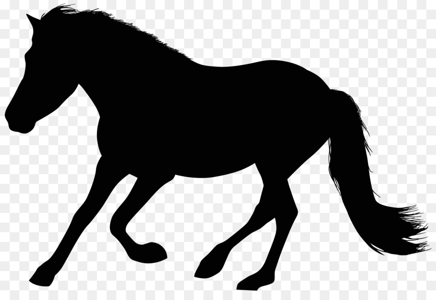 Cheval，Silhouette PNG