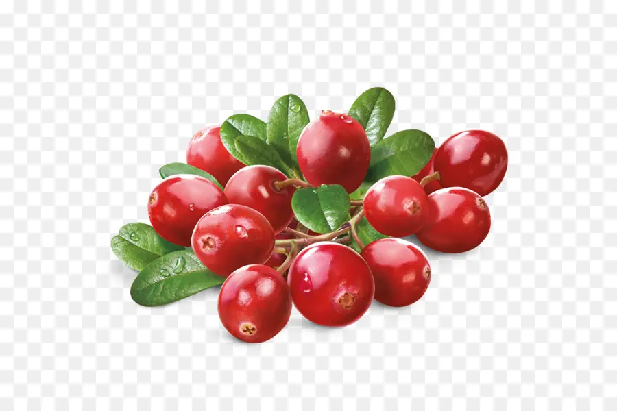 La Barbade Cerises，La Canneberge PNG