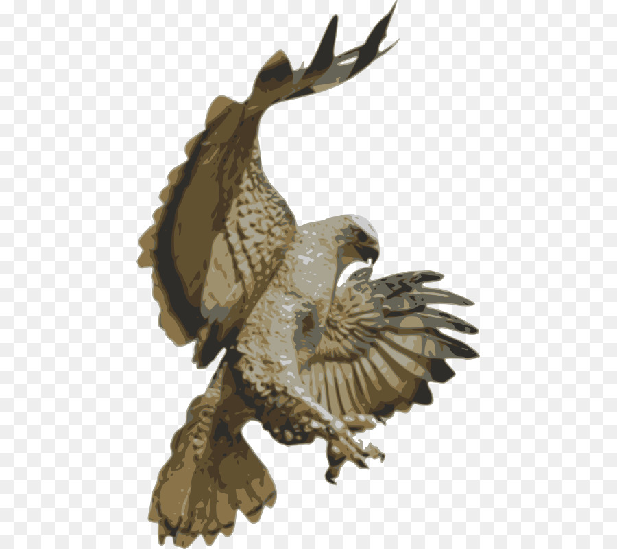 Hibou，Ailes PNG