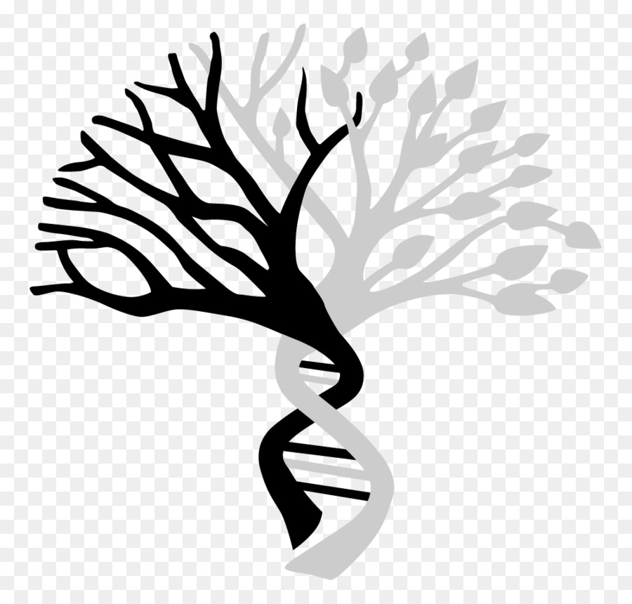 Arbre Et Adn，Succursales PNG