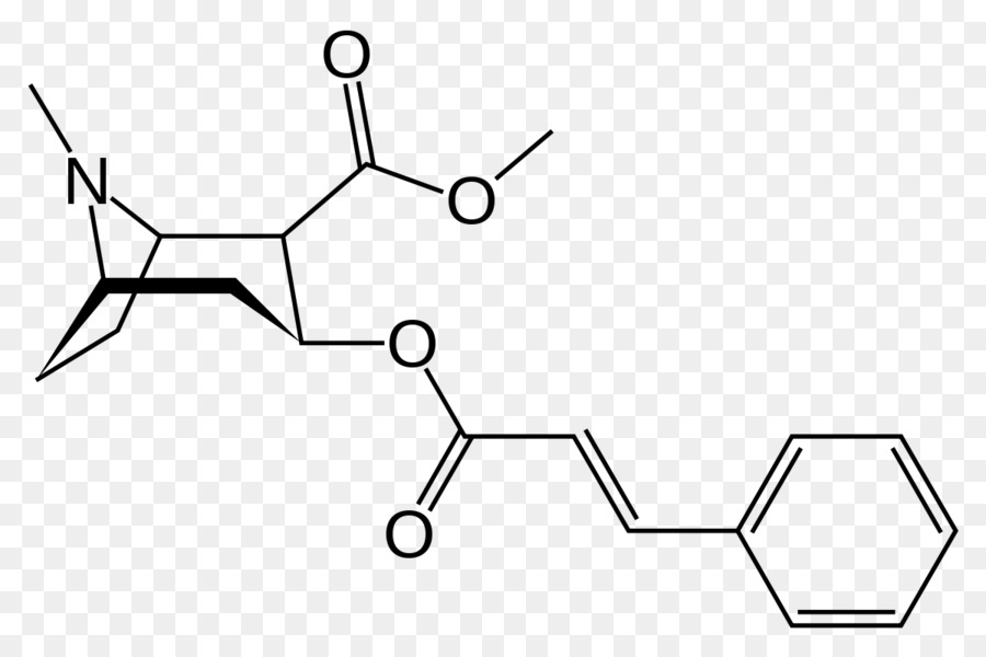 Methylecgonine Cinnamate，Tropane Alcaloïde PNG