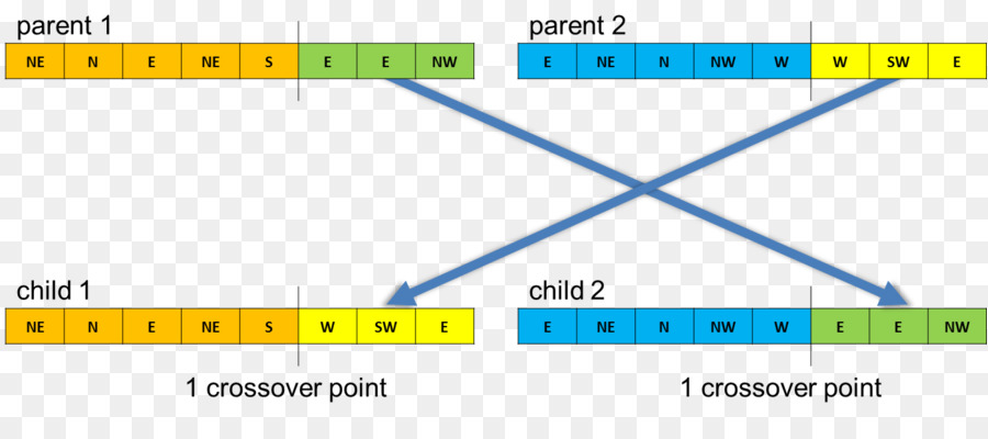 Document，Ligne PNG