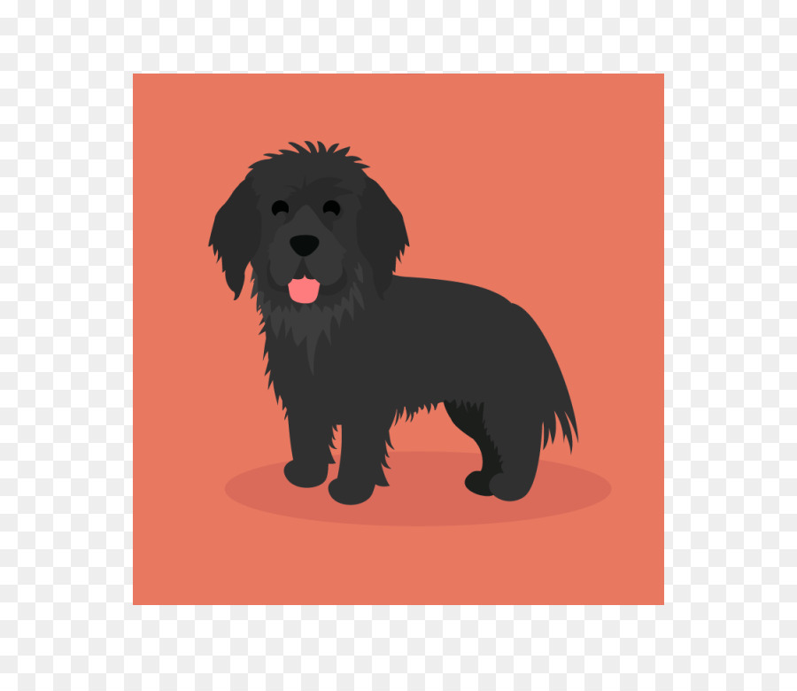 Schnoodle，L Affenpinscher PNG