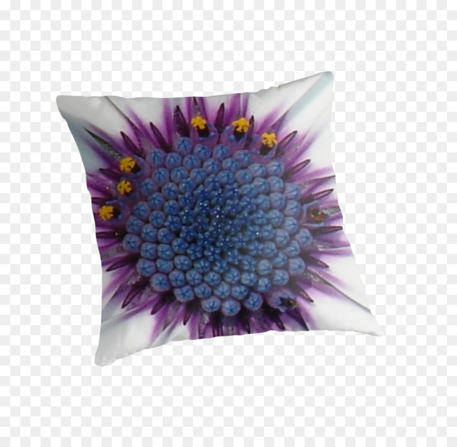 Coussin， PNG