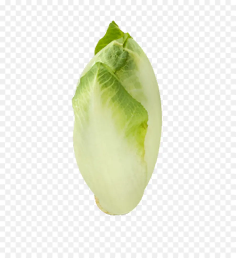 Endives，Légumes PNG