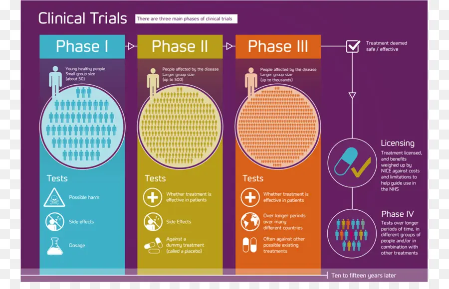 Essais Cliniques，Étapes PNG