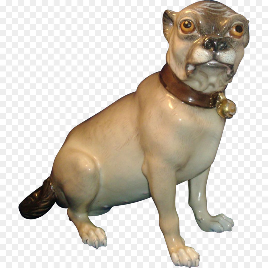 Chien，Museau PNG