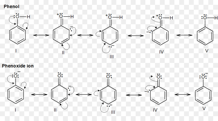 Vivant De La Polymérisation，La Polymérisation De L PNG