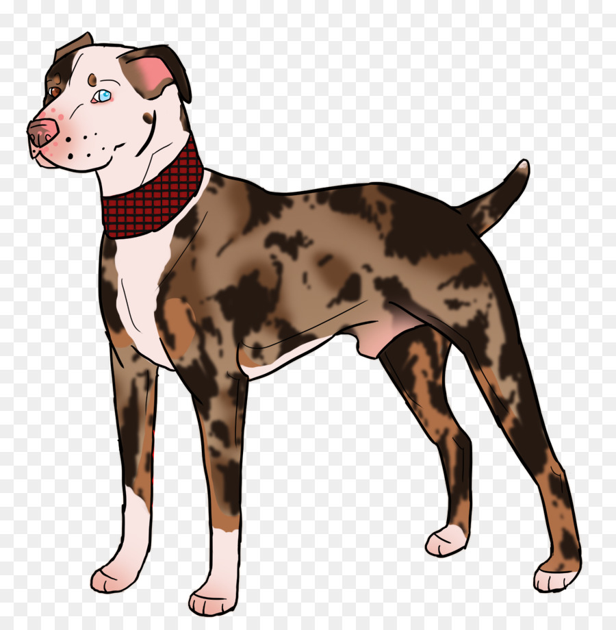 Race De Chien，American Pit Bull Terrier PNG