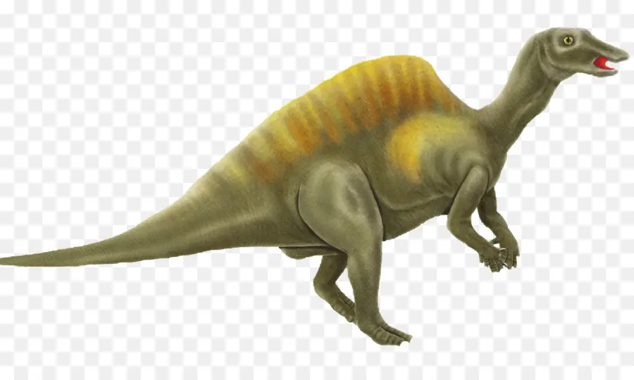 Dinosaure Vert，Préhistorique PNG