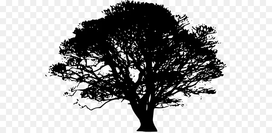 Arbre，Silhouette PNG