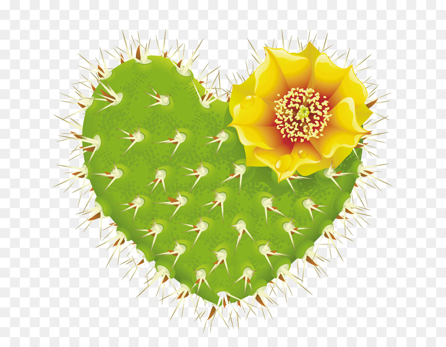 Cactus En Forme De Coeur，Fleur PNG