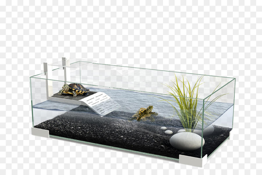 Aquarium，Verre PNG