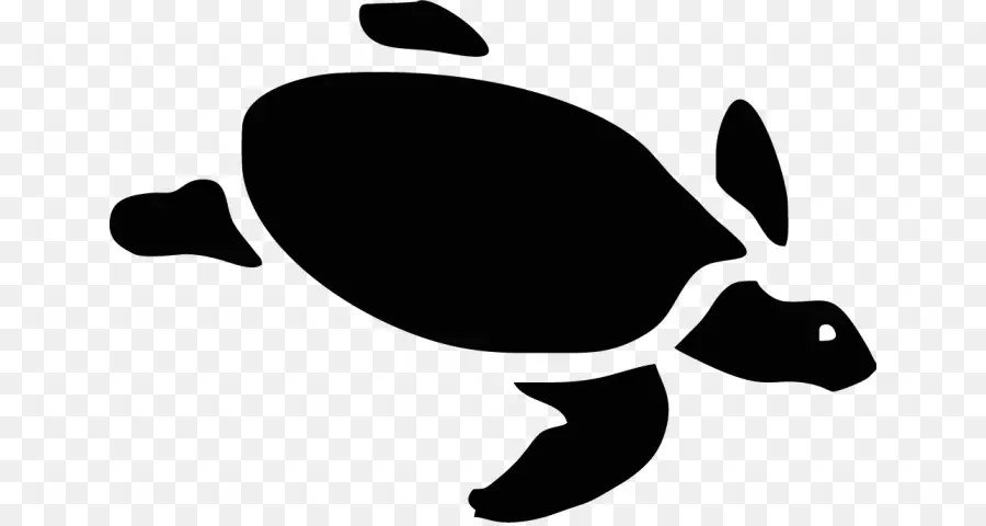 Tortue，Tortue De Mer PNG