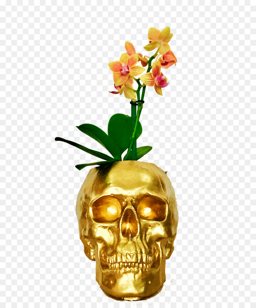 Les Fleurs Coupées，Les Orchidées PNG