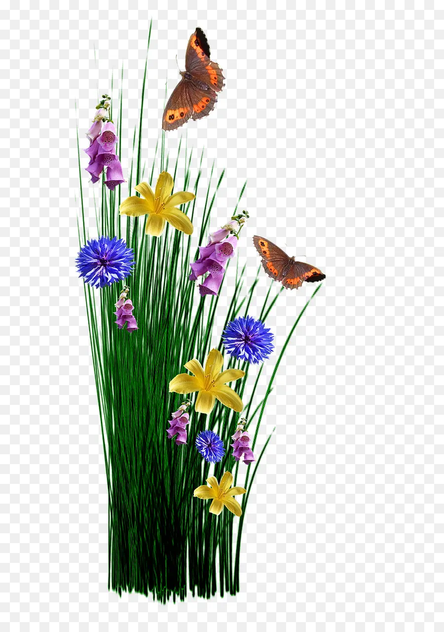 Fleurs Et Papillons，Herbe PNG