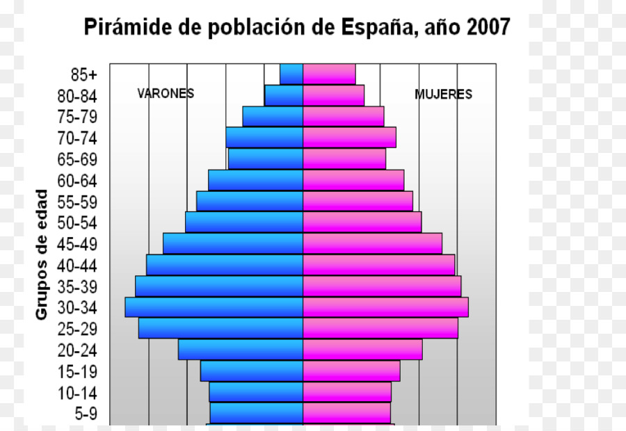 La Structure Par âge De La Population，Pyramide De La Population PNG